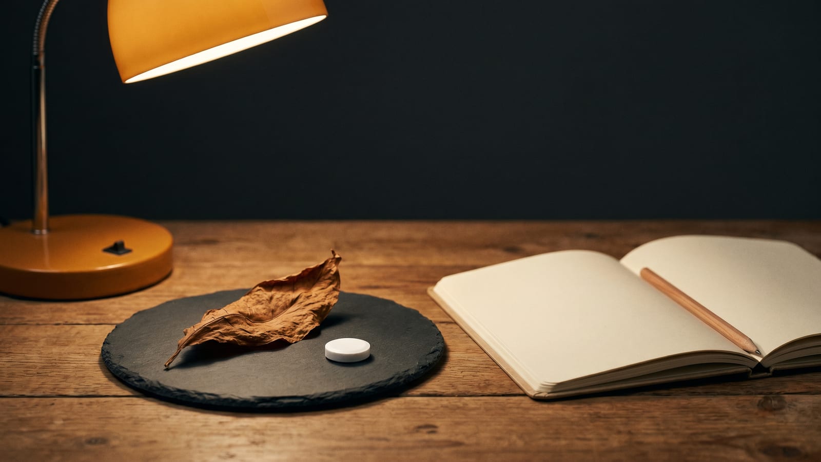 Nicotine and Focus: What the Research Actually Shows
