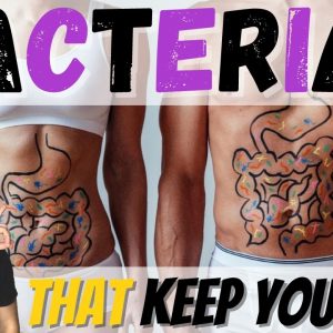 Gut Health for Weight Loss (The POWER of GUT MICROBIOME)