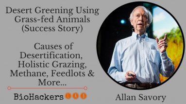Using Grassfed Animals for Desert Greening (Success Story) • Allan Savory